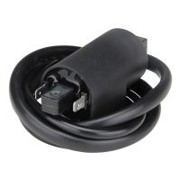 Zündspule + Zündkabel für Suzuki GSX-R750 1100, GSX 600 750 1100 F, GSF 600 1200 (100907)