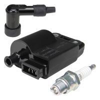 Piaggio Sfera RST 50 (C01) CDI Zündspule Zündkerzenstecker Zündkerze (1040463)