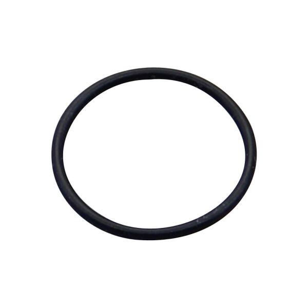 O-Ring Gummi Dichtring 20x1,5 mm (167796)
