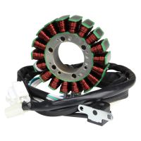 Lichtmaschine Stator Spulen Anker für Yamaha T-MAX TMax XP 500 XP500 (105529)