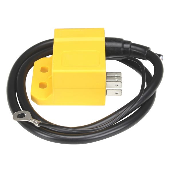 CDI Zündspule offen (Ducati/Kokusan Zündung) für Derbi D50B0 / Minarelli AM 4 5 6 / Aprilia Beta Gilera Rieju Yamaha (112423)