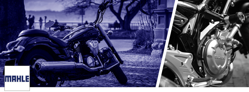 Mahle - Powersports