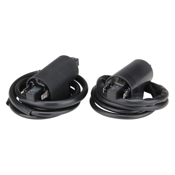2x Zündspule für Suzuki GSX-R750 1100, GSX 600 750 1100 F, GSF 600 1200 Bandit (101201)