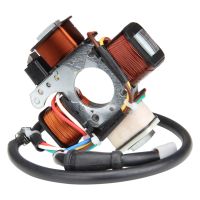 Lichtmaschine Zündung für Piaggio Vespa Ciao Bravo Si Mofa Moped (105508)