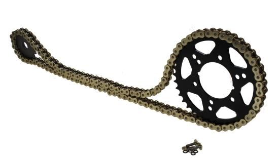 Kettensatz 16 41 für Honda CBF1000F SC64 Originalübersetzung 530 goldfarben (1651181641114_25070810013640)
