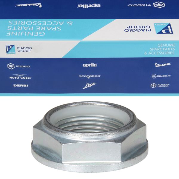 Mutter M25x1,5 Achse für Aprilia Dorsoduro NA Mana RSV Tuono RSV4 Factory RXV SL Falco Shiver SMV SXV / Moto Guzzi (AP8152324)