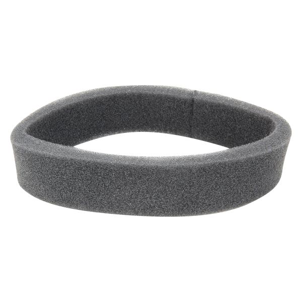 Luftfilter Einsatz für Honda ANF 125 (2005) / Forza 300 (2013-2015) / SH 300 ABS (2007-2016) - RMS (100603071)